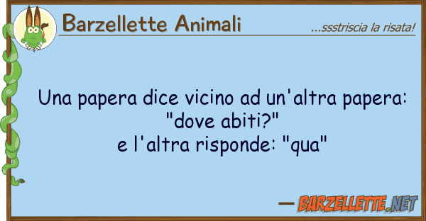 Barzellette Animali papera dice vicino un'altra paper