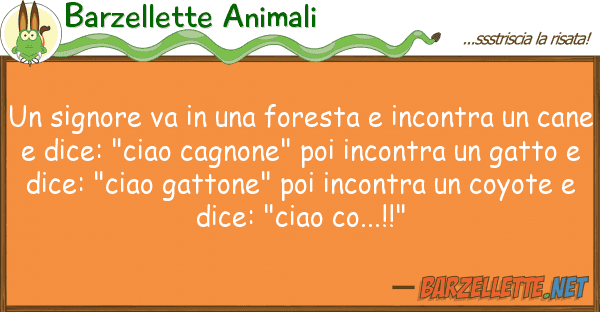 Barzellette Animali signore va foresta incontra
