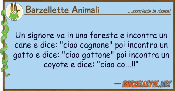 Barzellette Animali signore va foresta incontra