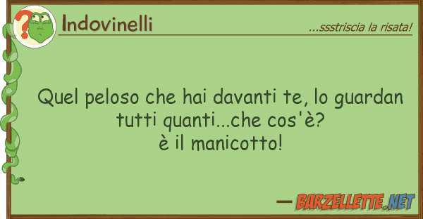 Indovinelli quel peloso hai davanti te, guard