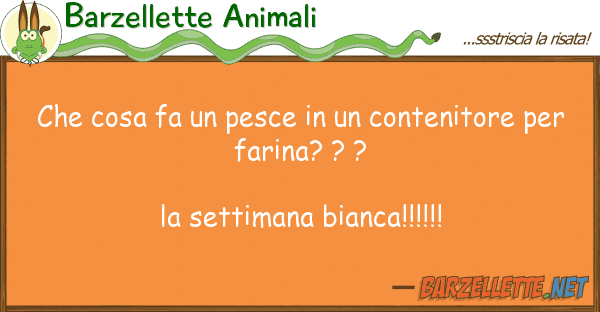 Barzellette Animali cosa fa pesce contenitore p