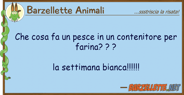 Barzellette Animali cosa fa pesce contenitore p