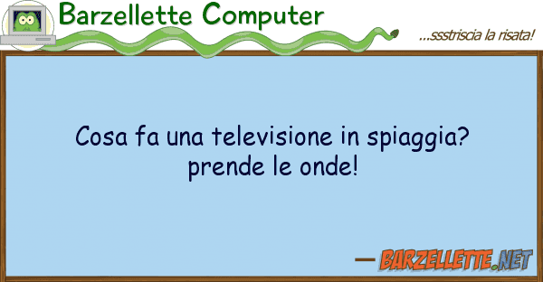 Barzellette Computer cosa fa televisione spiaggia? pre