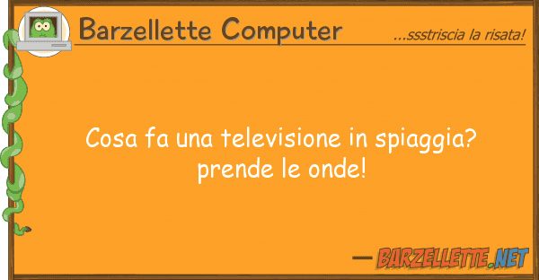 Barzellette Computer cosa fa televisione spiaggia? pre