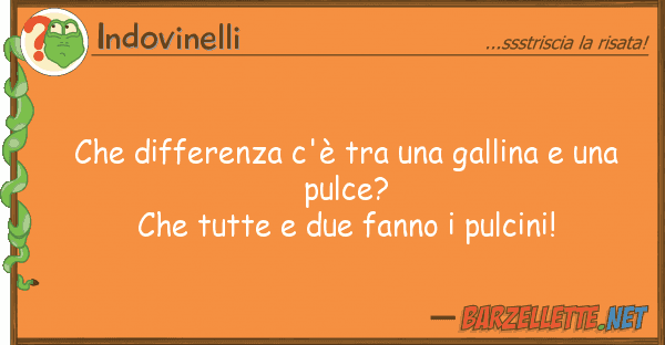 Indovinelli differenza c'è gallina