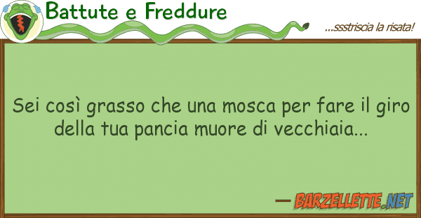 Battute e Freddure sei così grasso mosca fare
