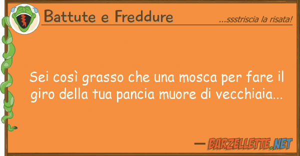 Battute e Freddure sei così grasso mosca fare