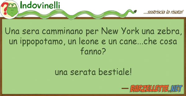 Indovinelli sera camminano new york zebr