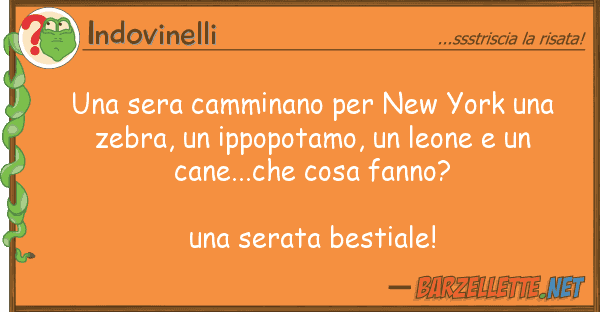 Indovinelli sera camminano new york zebr