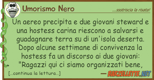 Umorismo Nero aereo precipita due giovani steward