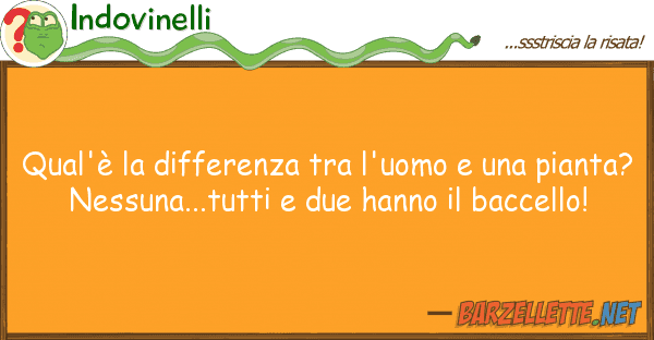Indovinelli qual'è differenza l'uomo p