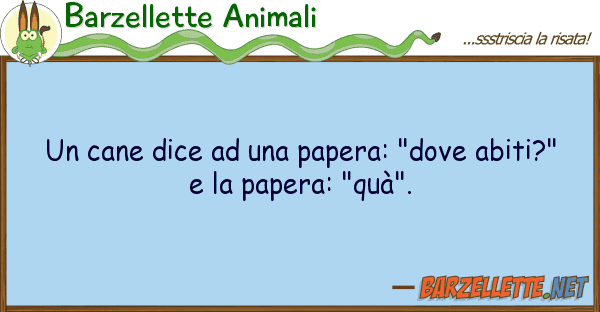 Barzellette Animali cane dice papera: "dove abiti?