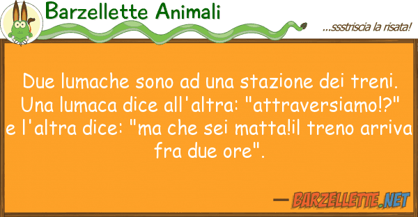 Barzellette Animali due lumache sono stazione tre