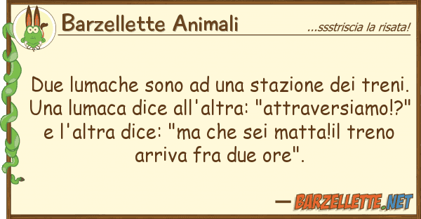 Barzellette Animali due lumache sono stazione tre
