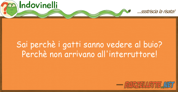 Indovinelli sai perchè gatti sanno vedere buio