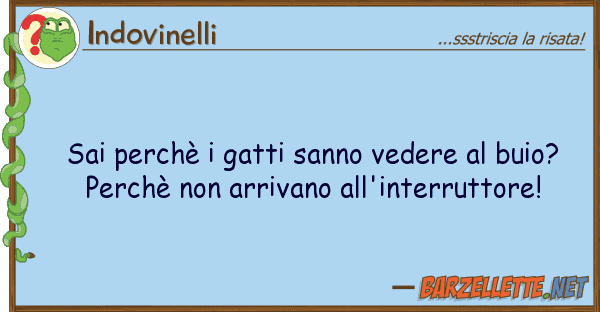 Indovinelli sai perchè gatti sanno vedere buio