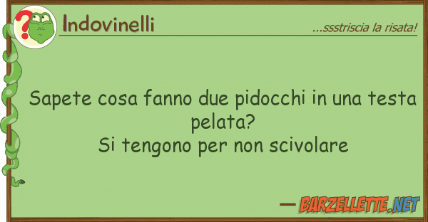 Indovinelli sapete cosa fanno due pidocchi te