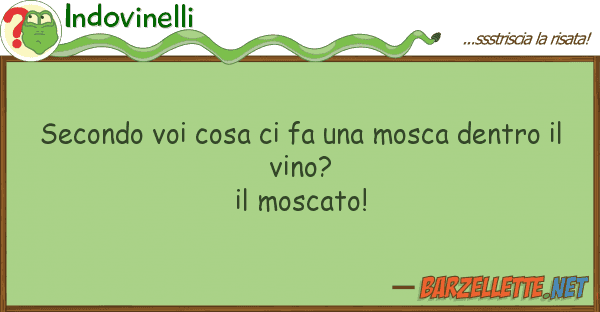 Indovinelli secondo cosa fa mosca dentro