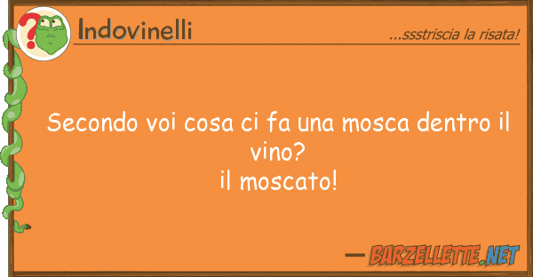 Indovinelli secondo cosa fa mosca dentro