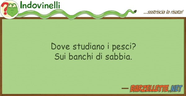 Indovinelli studiano pesci? banchi sab