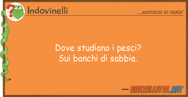 Indovinelli studiano pesci? banchi sab