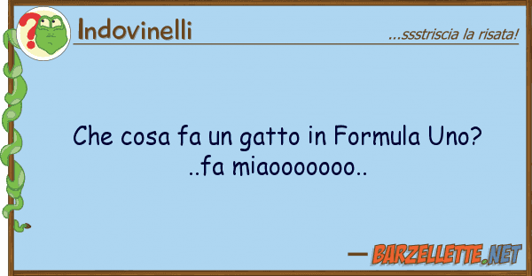 Indovinelli cosa fa gatto formula uno?..fa