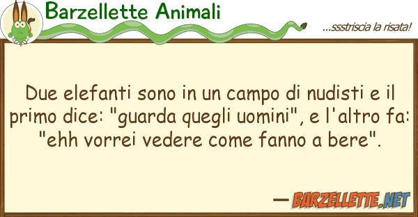Barzellette Animali due elefanti sono campo nudisti