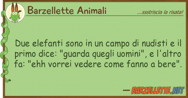Barzellette Animali due elefanti sono campo nudisti