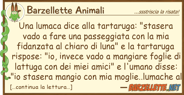 Barzellette Animali lumaca dice tartaruga: "stasera