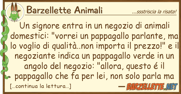 Barzellette Animali signore entra negozio animal
