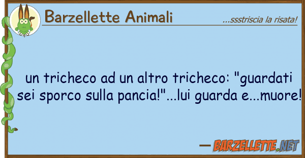 Barzellette Animali tricheco altro tricheco: "guard