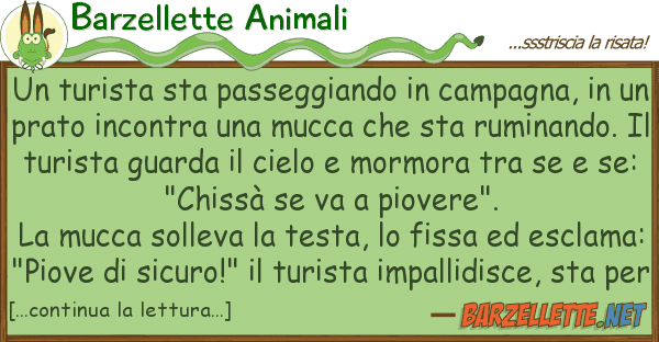 Barzellette Animali turista sta passeggiando campagna,