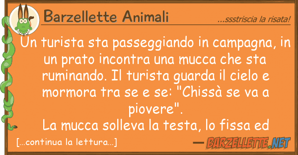 Barzellette Animali turista sta passeggiando campagna,