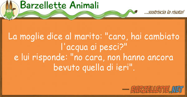 Barzellette Animali moglie dice marito: "caro, hai cam