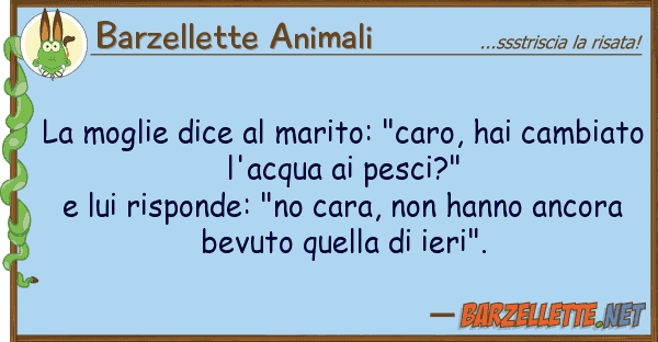 Barzellette Animali moglie dice marito: "caro, hai cam