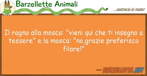 Barzellette Animali ragno mosca: "vieni qui