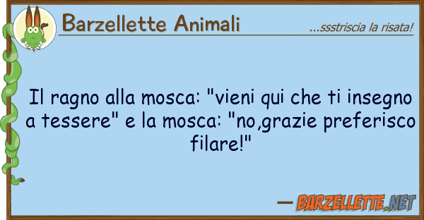 Barzellette Animali ragno mosca: "vieni qui