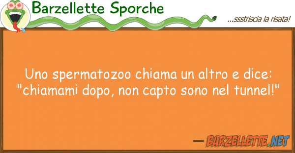 Barzellette Sporche spermatozoo chiama altro dice: