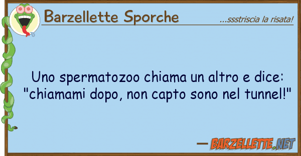 Barzellette Sporche spermatozoo chiama altro dice: