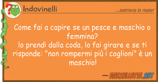 Indovinelli fai capire pesce maschio