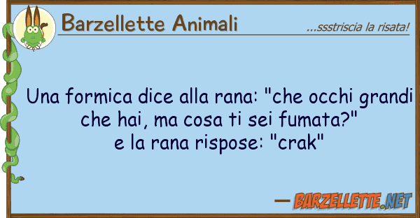 Barzellette Animali formica dice rana: "che occhi g