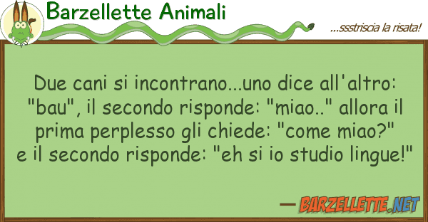 Barzellette Animali due cani incontrano...uno dice all'al