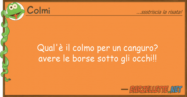 Colmi qual'è colmo canguro? avere