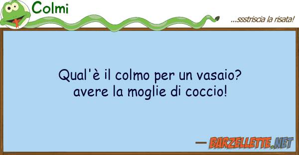 Colmi qual'è colmo vasaio? avere