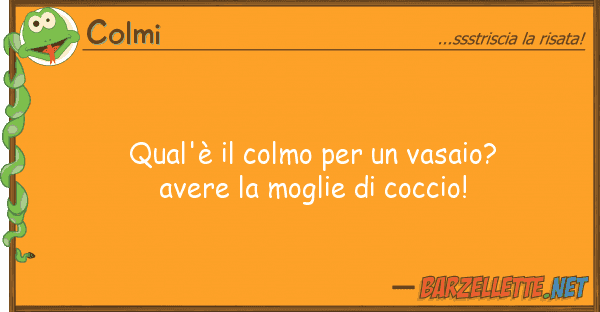Colmi qual'è colmo vasaio? avere