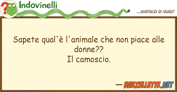 Indovinelli sapete qual'è l'animale piace