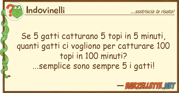 Indovinelli 5 gatti catturano 5 topi 5 minuti,