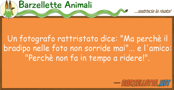 Barzellette Animali fotografo rattristato dice: "ma perch