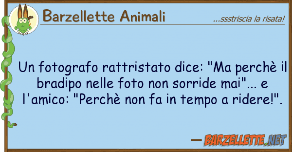 Barzellette Animali fotografo rattristato dice: "ma perch