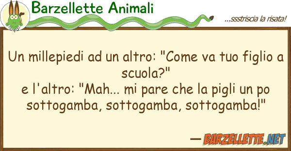 Barzellette Animali millepiedi altro: "come va